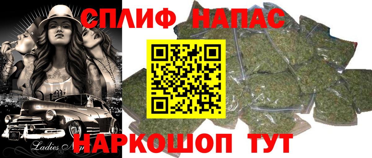 Каннабис ГИДРОПОН Кисловодск